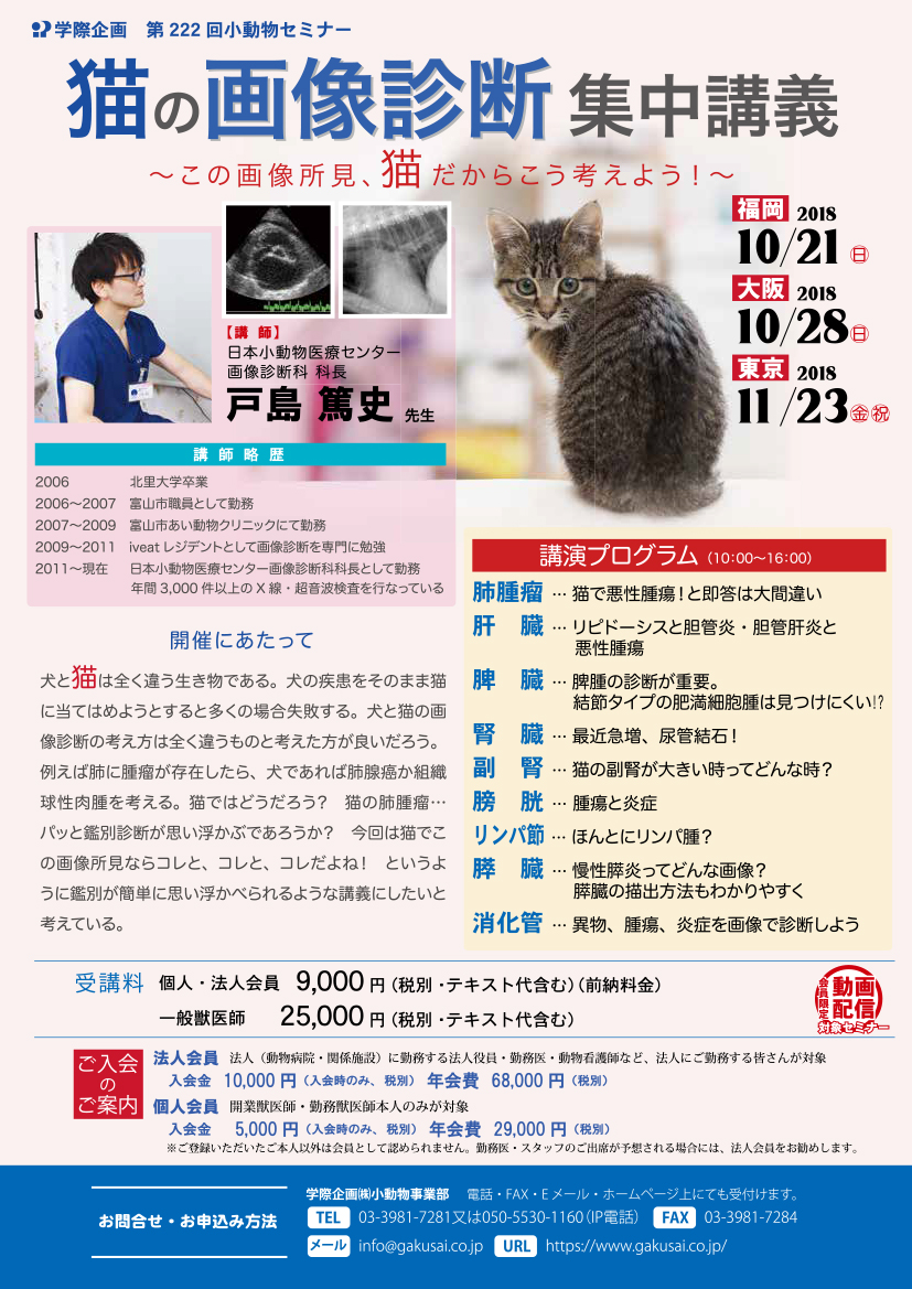 No.GS222 猫の画像診断 集中講義
