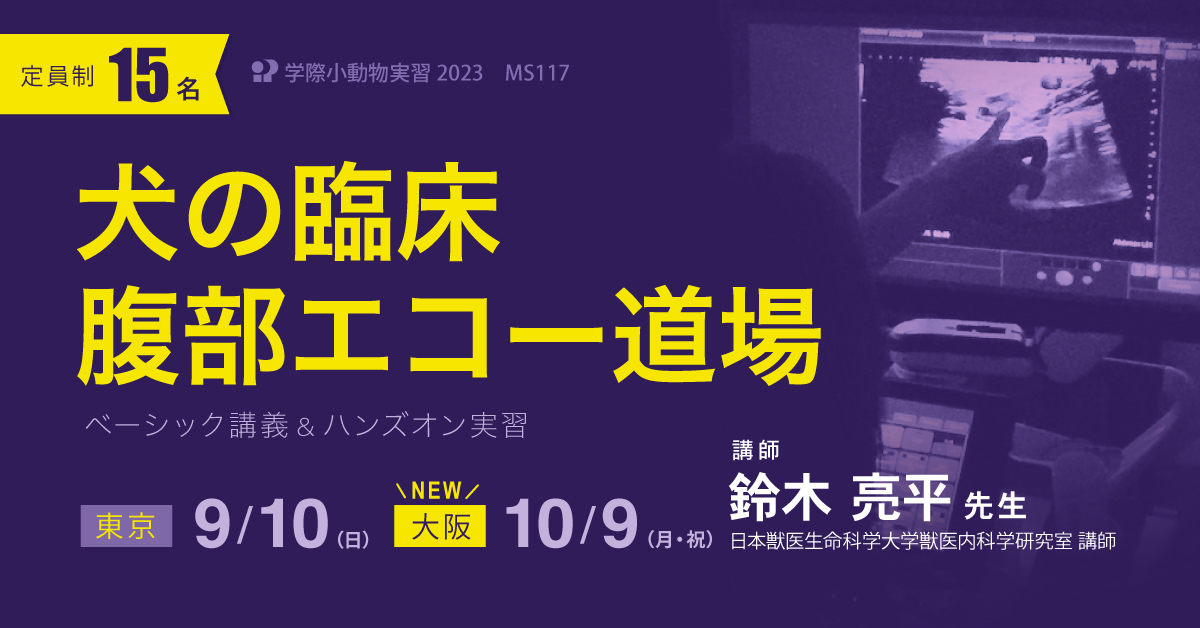 MS117 犬の臨床腹部エコー道場