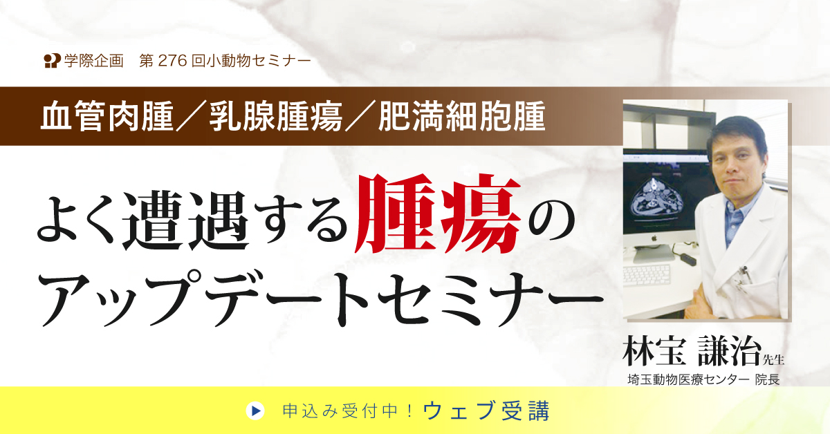 林宝謙治先生「よく遭遇する腫瘍のアップデートセミナー」獣医師セミナー