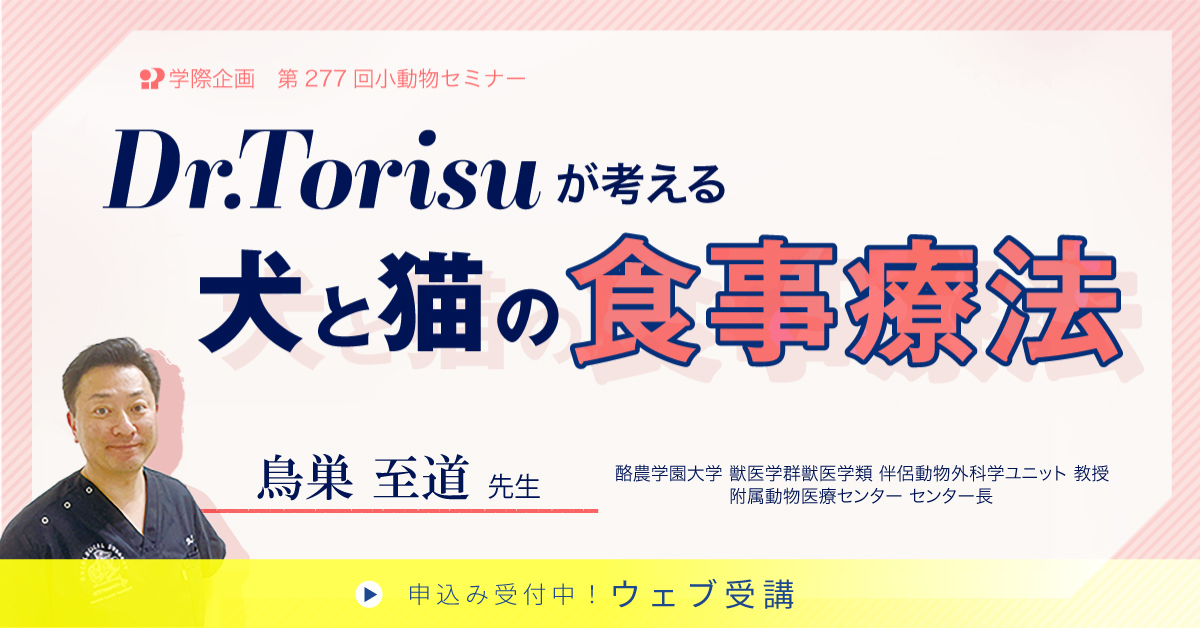 鳥巣至道先生「犬と猫の食事療法」獣医師 セミナー