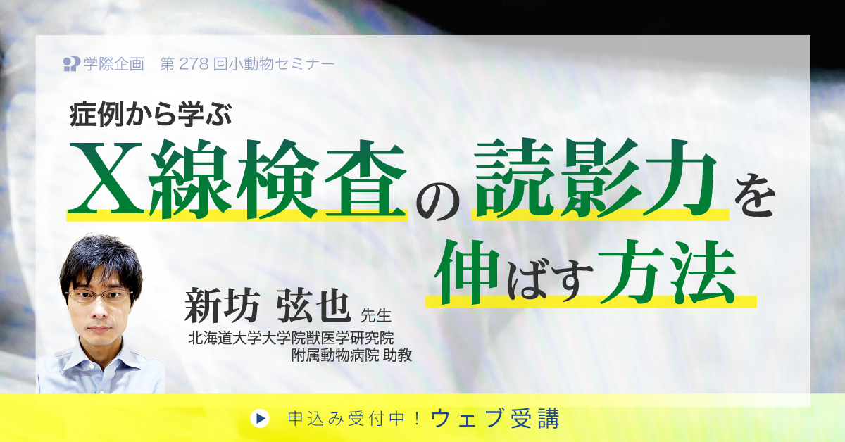 新坊弦也先生「症例から学ぶX線検査の読影力を伸ばす方法」獣医師セミナー