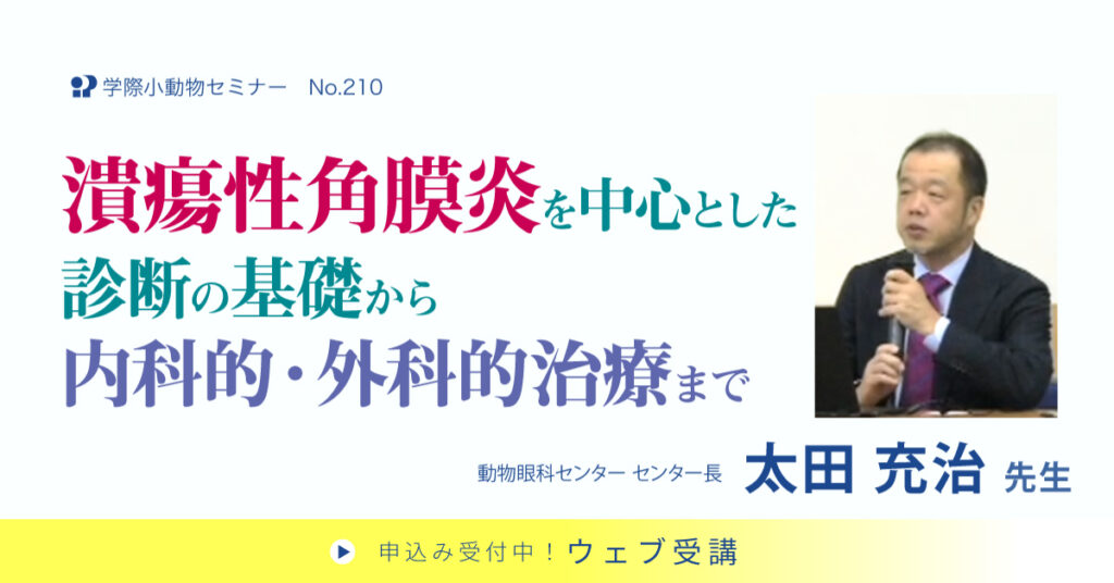 潰瘍性角膜炎を中心とした診断の基礎から内科的・外科的治療まで