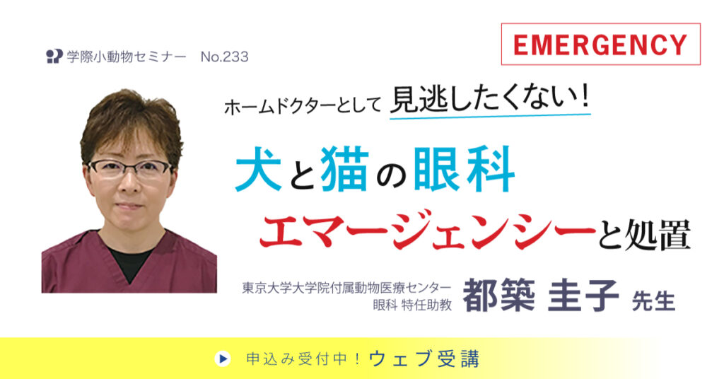 犬と猫の眼科エマージェンシーと処置