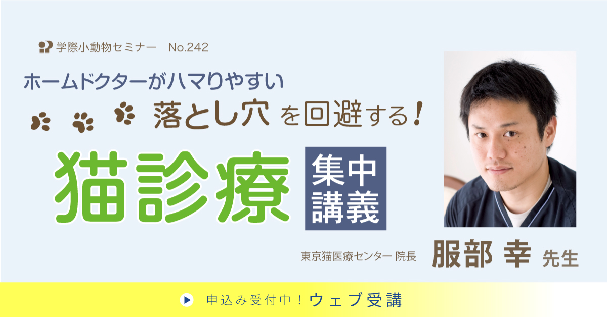 No.242　ホームドクターがハマりやすい落とし穴を回避する！猫診療　集中講義