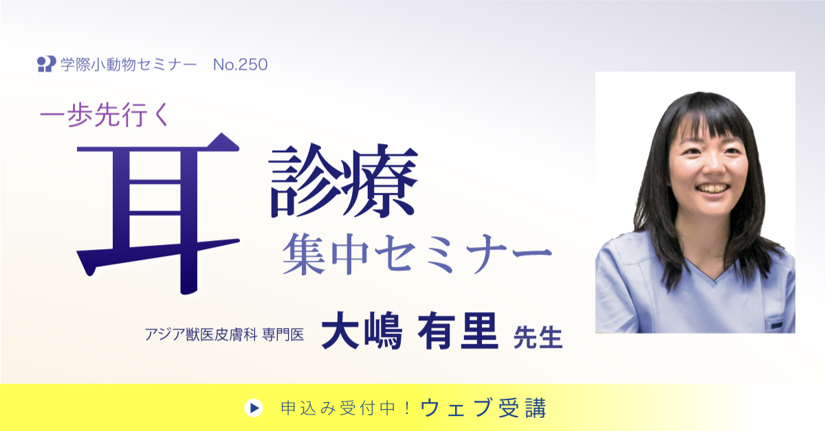 No.250　一歩先行く耳診療 集中セミナー