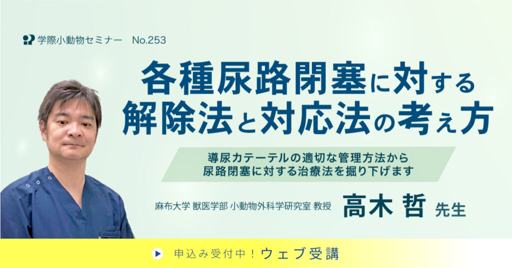 各種尿路閉塞に対する解除法と対応法の考え方