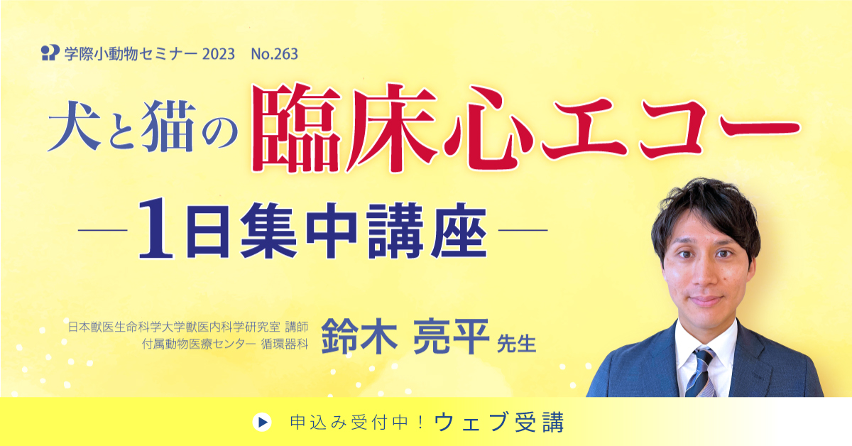 No.263　犬と猫の臨床心エコー1日集中講座