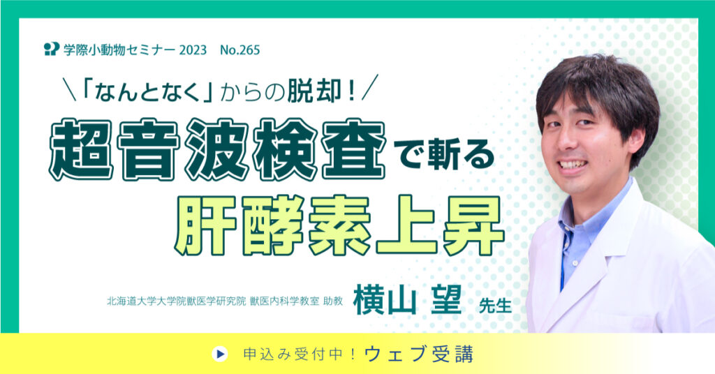 超音波検査で斬る肝酵素上昇