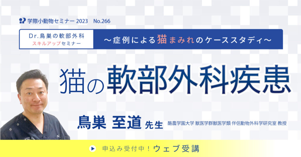 〜Dr.鳥巣の軟部外科スキルアップセミナー〜 猫の軟部外科疾患