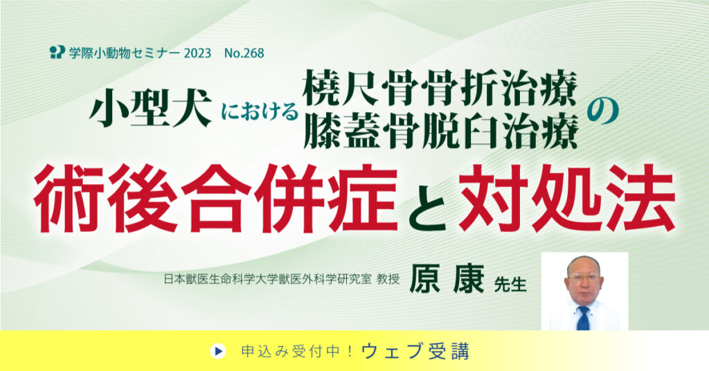 小型犬における橈尺骨骨折治療・膝蓋骨脱臼治療の術後合併症と対処法