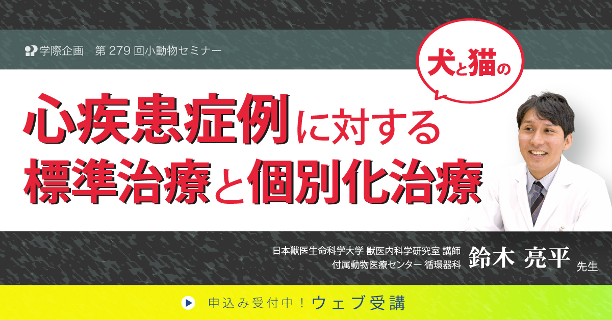 鈴木亮平先生「心疾患症例に対する標準治療と個別化治療」獣医師セミナー